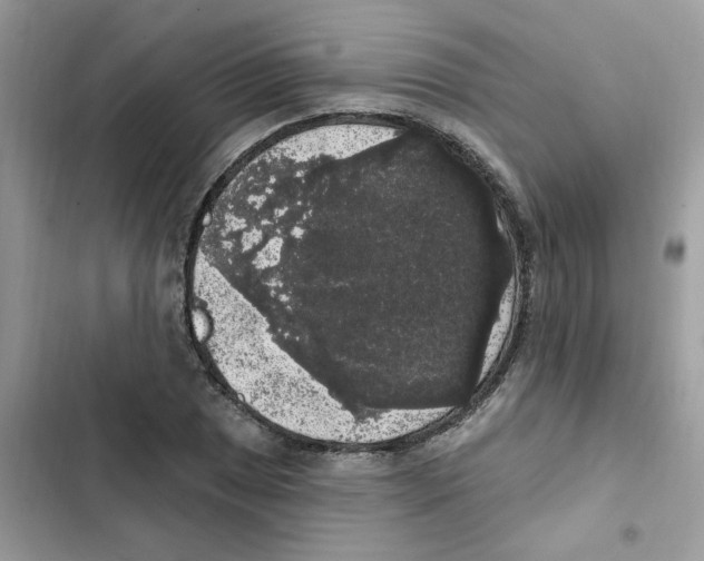 X0000101981025200808151356