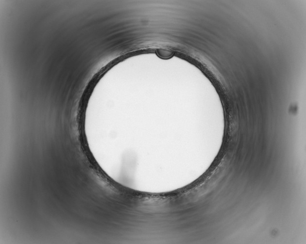 X0000101981026200808151356