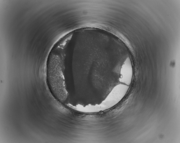 X0000101981028200808151356