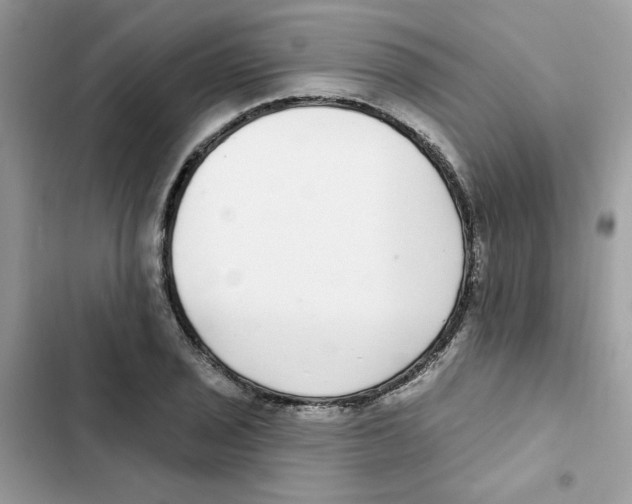 X0000101981029200808151356