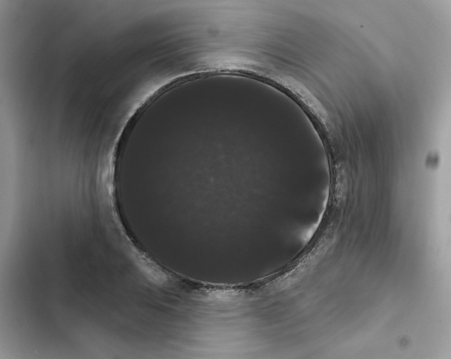 X0000101981031200808151356