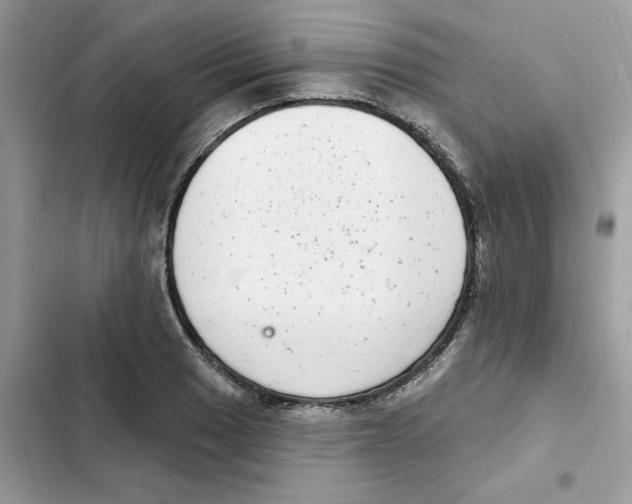 X0000101981033200808151356