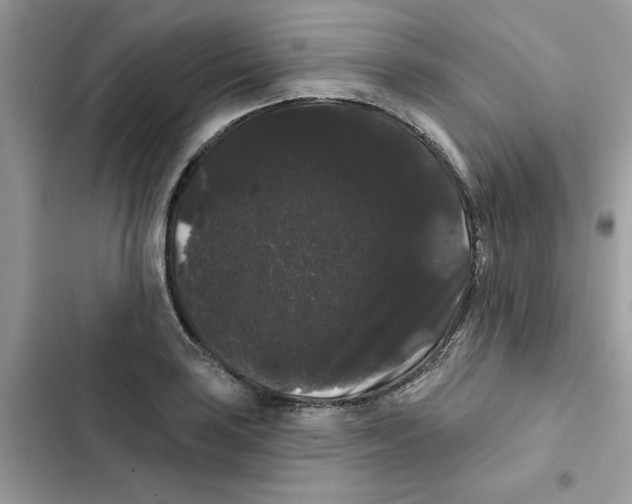 X0000101981035200808151356