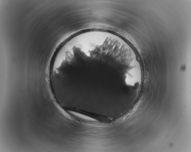 X0000101981037200808151356