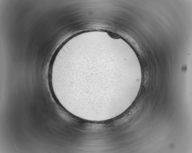 X0000101981039200808151356