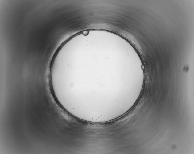 X0000101981040200808151356