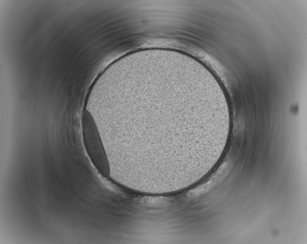 X0000101981041200808151356