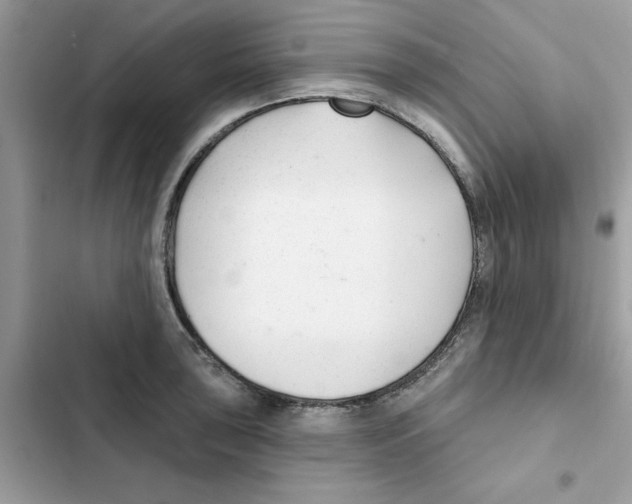 X0000101981043200808151357