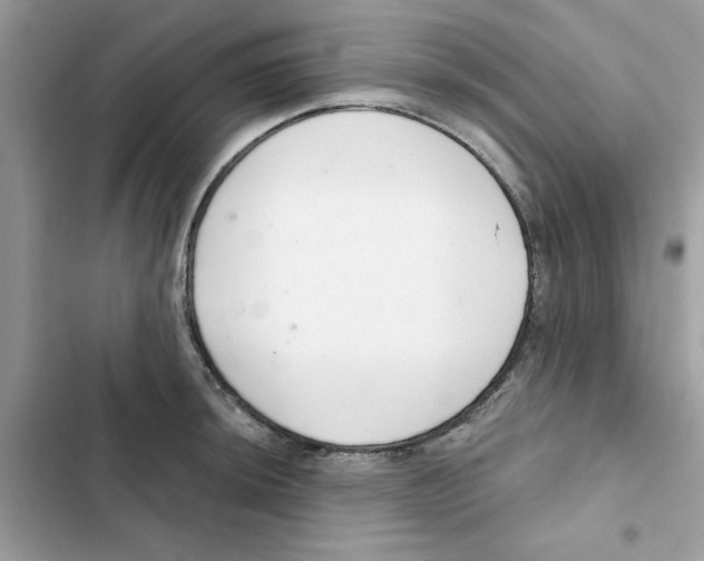 X0000101981044200808151357