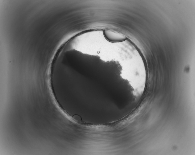 X0000101981045200808151357