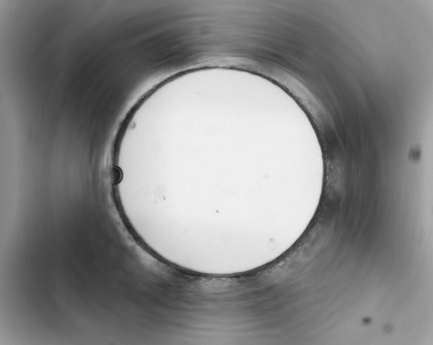 X0000101981046200808151357