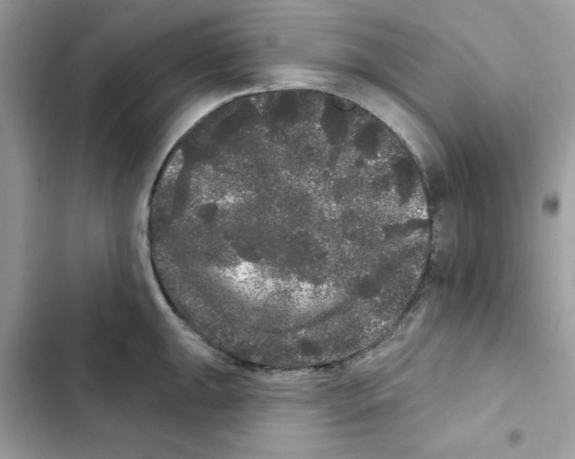 X0000101981047200808151357