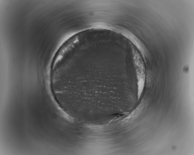 X0000101981048200808151357