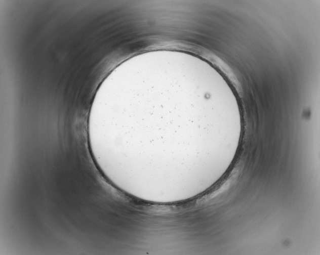 X0000101981049200808151357