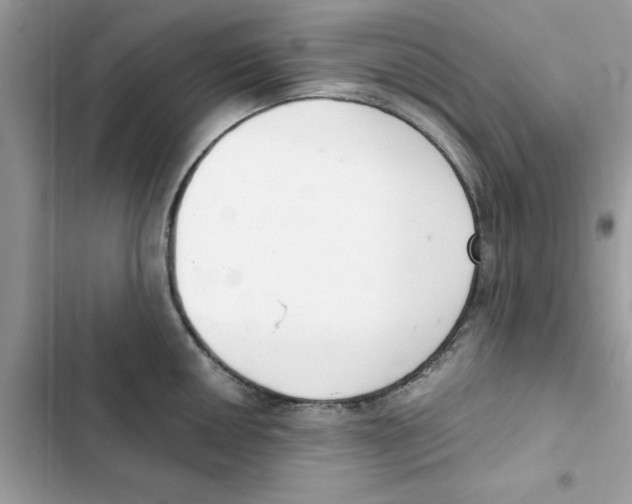 X0000101981050200808151357