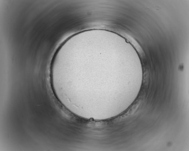 X0000101981051200808151357