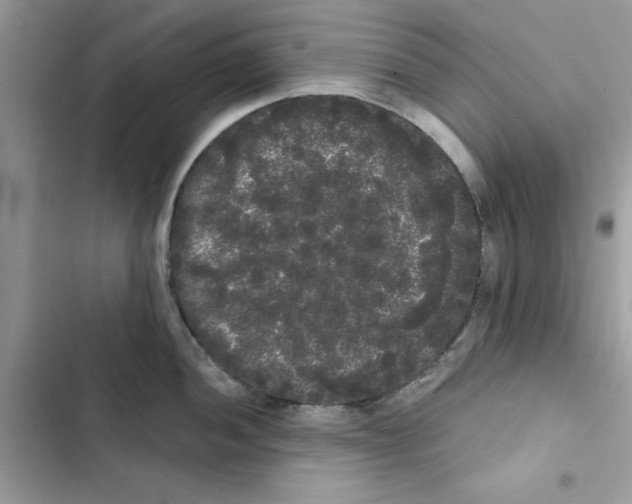 X0000101981052200808151357