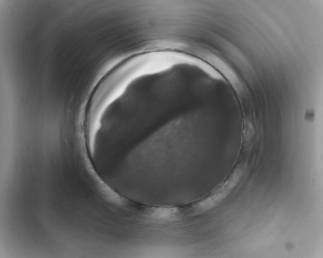 X0000101981055200808151357