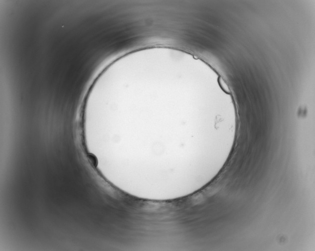 X0000101981056200808151357