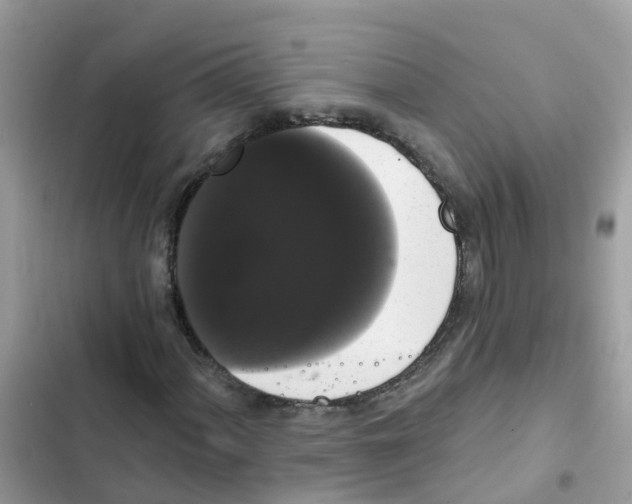 X0000101981060200808151356