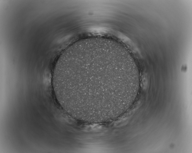 X0000101981061200808151356