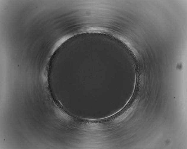 X0000101981066200808151356