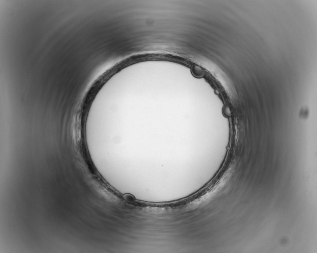 X0000101981069200808151356