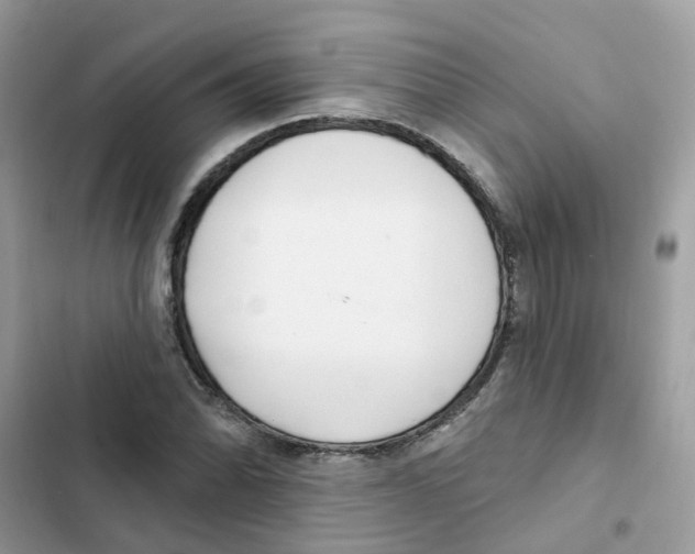 X0000101981070200808151356