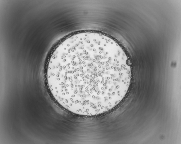 X0000101981072200808151356