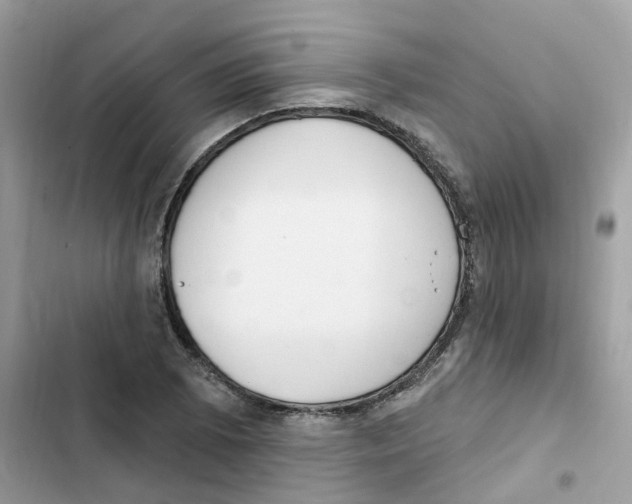 X0000101981073200808151356