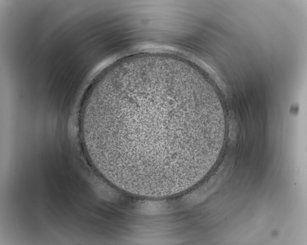 X0000101981074200808151356