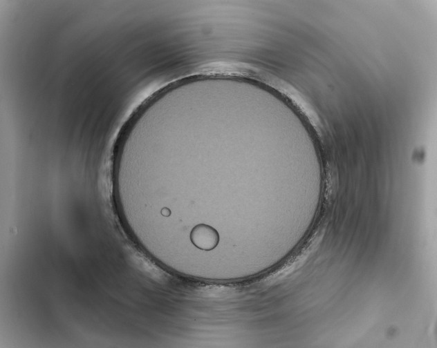 X0000101981075200808151356