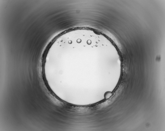 X0000101981076200808151356