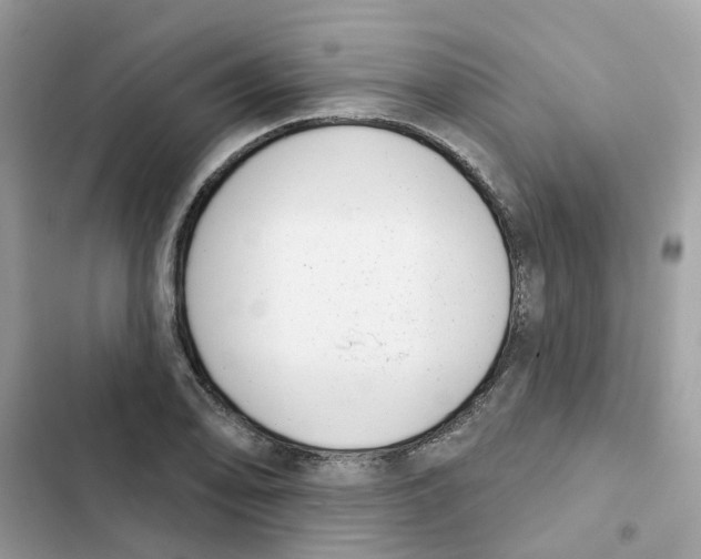 X0000101981078200808151356