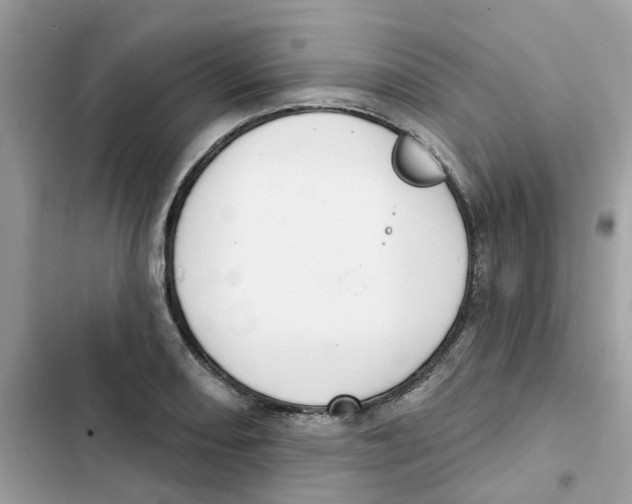 X0000101981082200808151356