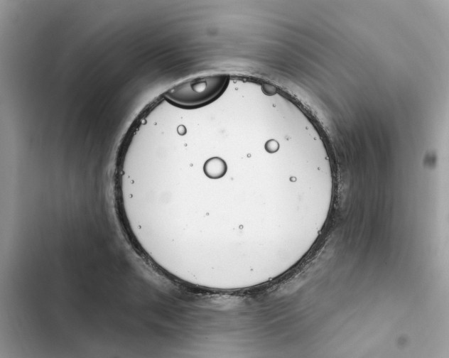 X0000101981085200808151356