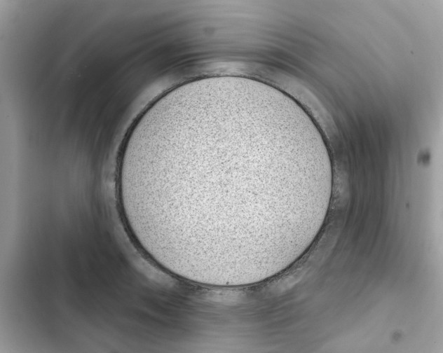 X0000101981090200808151356