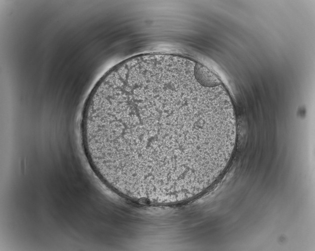 X0000101981091200808151356