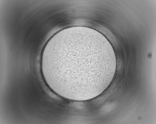 X0000101981094200808151355