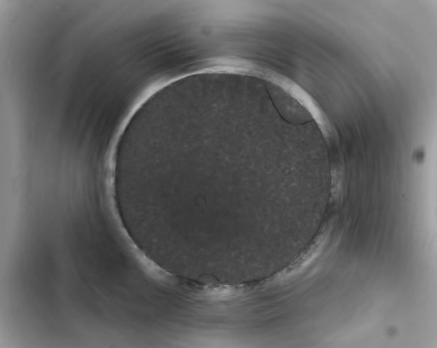 X0000101981099200808151355