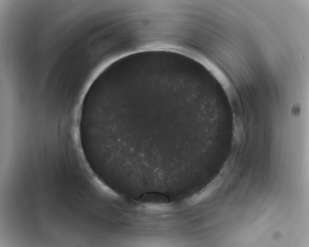 X0000101981102200808151355