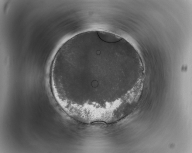 X0000101981104200808151355