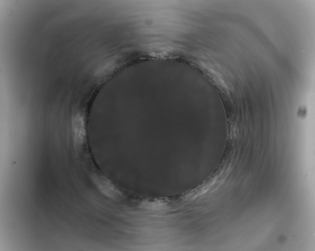 X0000101981106200808151355