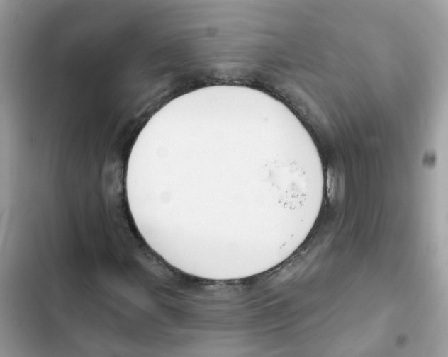 X0000101981107200808151355