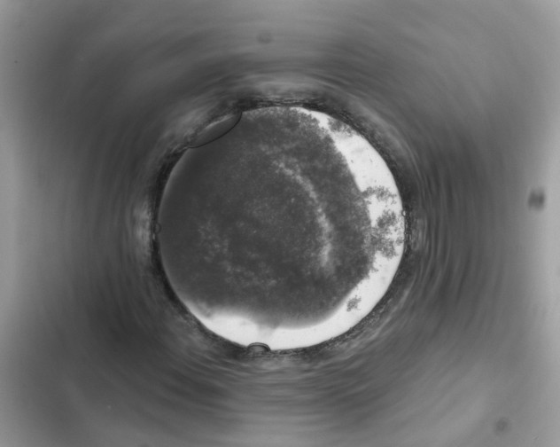 X0000101981108200808151355