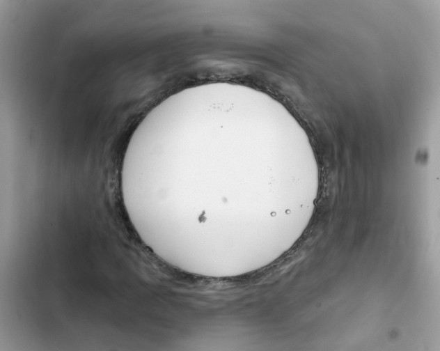 X0000101981109200808151355