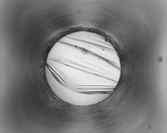 X0000101981110200808151355