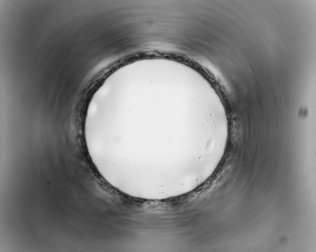 X0000101981112200808151355