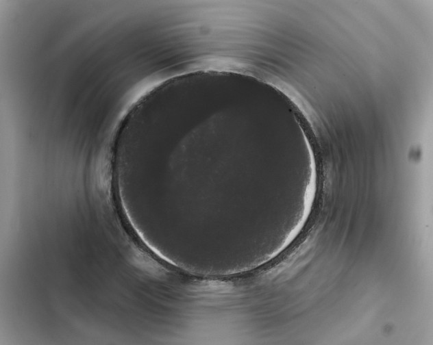 X0000101981115200808151355