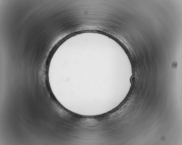 X0000101981119200808151355